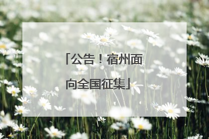公告！宿州面向全国征集