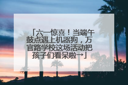 六一惊喜！当端午鼓点遇上机器狗，万官路学校这场活动把孩子们看呆啦→