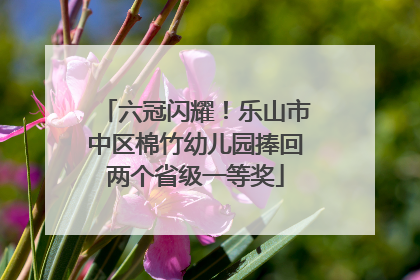 六冠闪耀！乐山市中区棉竹幼儿园捧回两个省级一等奖
