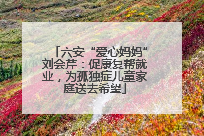六安“爱心妈妈”刘会芹：促康复帮就业，为孤独症儿童家庭送去希望
