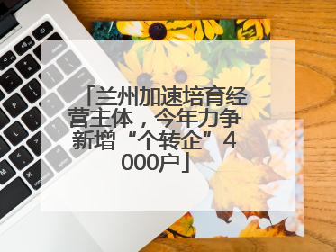兰州加速培育经营主体，今年力争新增“个转企”4000户