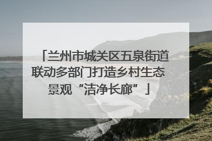 兰州市城关区五泉街道联动多部门打造乡村生态景观“洁净长廊”