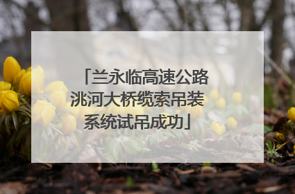 兰永临高速公路洮河大桥缆索吊装系统试吊成功