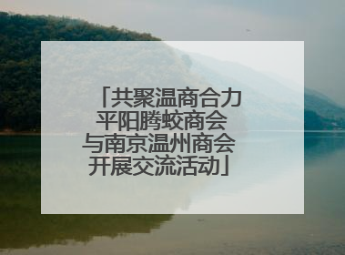 共聚温商合力 平阳腾蛟商会与南京温州商会开展交流活动