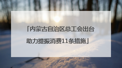 内蒙古自治区总工会出台助力提振消费11条措施