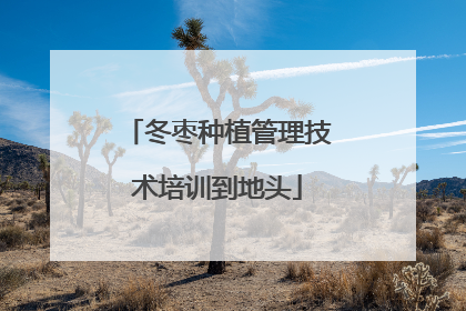 冬枣种植管理技术培训到地头