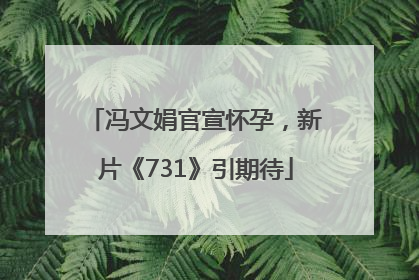 冯文娟官宣怀孕，新片《731》引期待