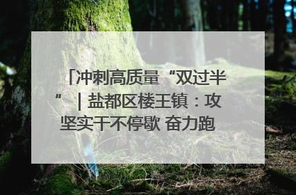 冲刺高质量“双过半”｜盐都区楼王镇：攻坚实干不停歇 奋力跑赢“上半场”
