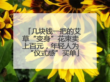 几块钱一把的艾草“变身”花束卖上百元，年轻人为“仪式感”买单