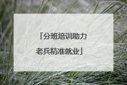分班培训助力老兵精准就业