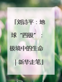 刘诗平：地球“四极”：极境中的生命｜新华走笔