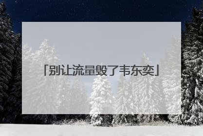 别让流量毁了韦东奕