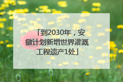 到2030年，安徽计划新增世界灌溉工程遗产1处