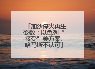 加沙停火再生变数：以色列“接受”美方案、哈马斯不认可