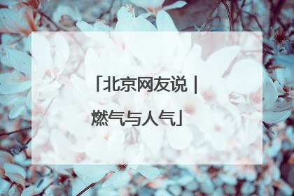 北京网友说｜燃气与人气
