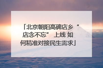 北京朝阳高碑店乡“店念不忘” 上线 如何精准对接民生需求