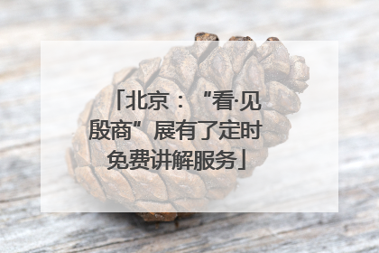 北京：“看·见殷商”展有了定时免费讲解服务