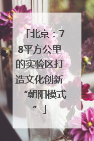 北京：78平方公里的实验区打造文化创新“朝阳模式”