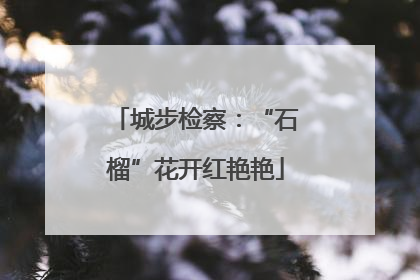 城步检察：“石榴”花开红艳艳