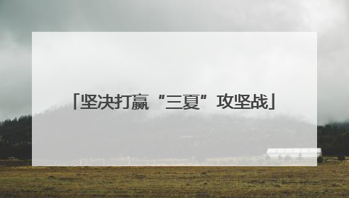 坚决打赢“三夏”攻坚战