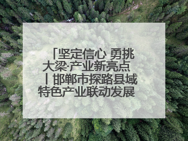 坚定信心 勇挑大梁·产业新亮点丨邯郸市探路县域特色产业联动发展：飞地，为好项目跨域安个家