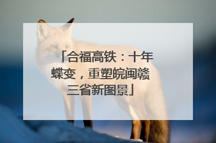 合福高铁：十年蝶变，重塑皖闽赣三省新图景