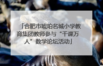 合肥市琥珀名城小学教育集团教师参与“千课万人”数学论坛活动