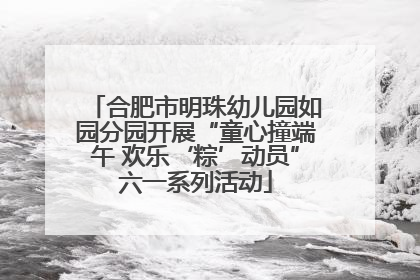 合肥市明珠幼儿园如园分园开展“童心撞端午 欢乐‘粽’动员”六一系列活动