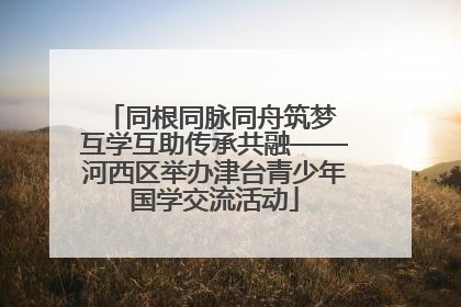 同根同脉同舟筑梦 互学互助传承共融——河西区举办津台青少年国学交流活动