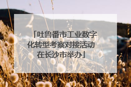 吐鲁番市工业数字化转型考察对接活动在长沙市举办