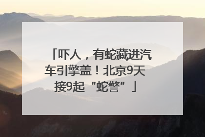吓人，有蛇藏进汽车引擎盖！北京9天接9起“蛇警”
