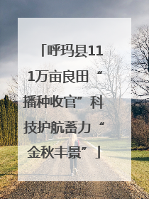 呼玛县111万亩良田“播种收官”科技护航蓄力“金秋丰景”