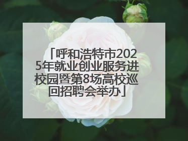 呼和浩特市2025年就业创业服务进校园暨第8场高校巡回招聘会举办