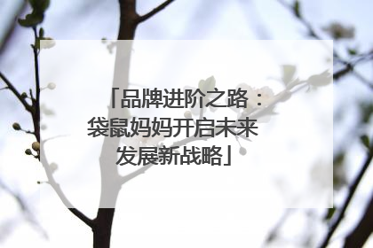 品牌进阶之路：袋鼠妈妈开启未来发展新战略