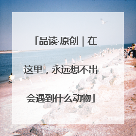 品读·原创｜在这里，永远想不出会遇到什么动物