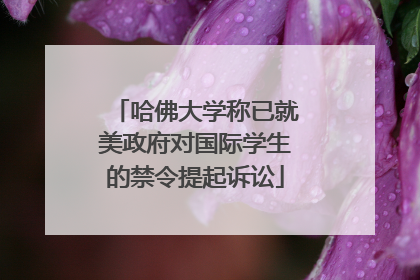 哈佛大学称已就美政府对国际学生的禁令提起诉讼