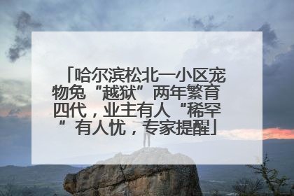 哈尔滨松北一小区宠物兔“越狱”两年繁育四代，业主有人“稀罕”有人忧，专家提醒