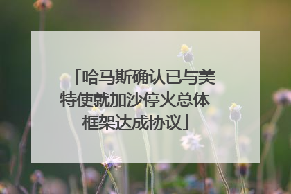 哈马斯确认已与美特使就加沙停火总体框架达成协议