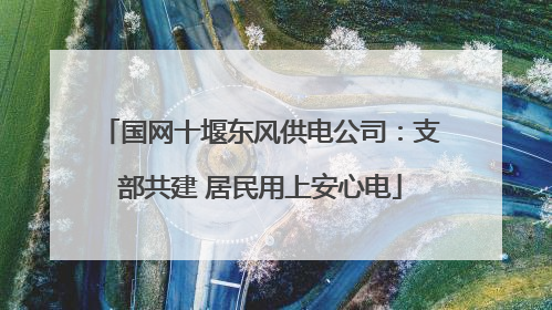国网十堰东风供电公司：支部共建 居民用上安心电