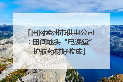 国网孟州市供电公司：田间地头“电课堂”  护航药材好收成