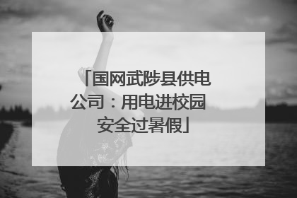 国网武陟县供电公司：用电进校园  安全过暑假