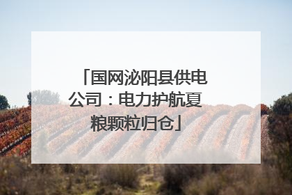 国网泌阳县供电公司：电力护航夏粮颗粒归仓