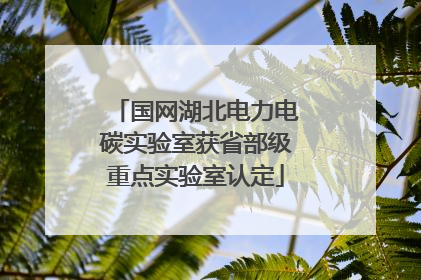 国网湖北电力电碳实验室获省部级重点实验室认定