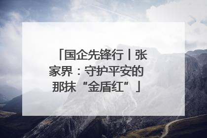 国企先锋行丨张家界：守护平安的那抹“金盾红”