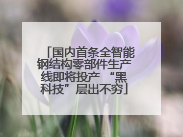 国内首条全智能钢结构零部件生产线即将投产 “黑科技”层出不穷