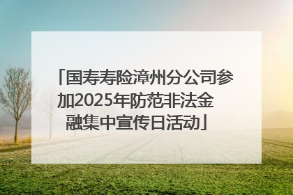 国寿寿险漳州分公司参加2025年防范非法金融集中宣传日活动