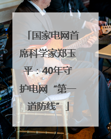 国家电网首席科学家郑玉平：40年守护电网“第一道防线”