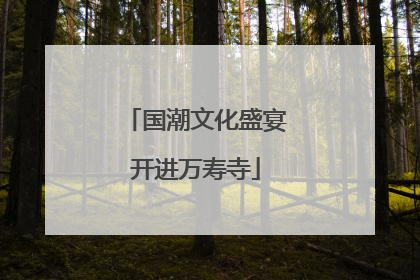 国潮文化盛宴开进万寿寺