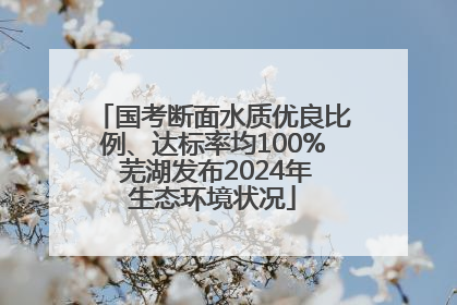 国考断面水质优良比例、达标率均100% 芜湖发布2024年生态环境状况