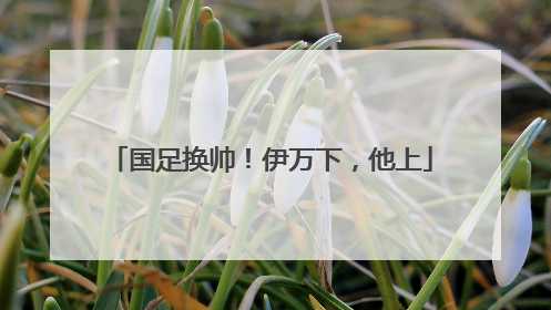 国足换帅！伊万下，他上